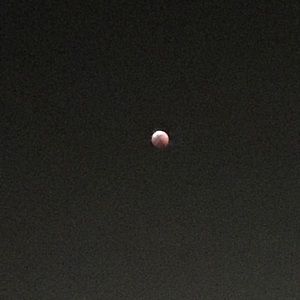 Meet your Posher, Kathryn